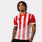 NEWCASTLE II JERSEY