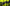 SKIN TECH DURO ROLL GK GLOVE