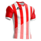 NEWCASTLE II JERSEY