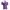 VERONA JERSEY